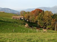 02_Paesaggio autunnale